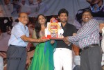 Rangam Movie 100days Function - 129 of 151