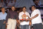 Rangam Movie 100days Function - 132 of 151