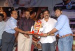 Rangam Movie 100days Function - 139 of 151