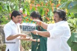 Rani Ranamma Movie Opening - 9 of 149