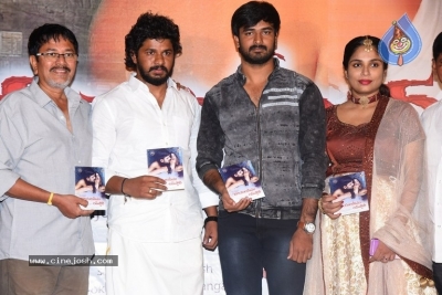 Rayalaseema Love Story Movie Audio Launch - 2 of 19