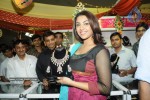 Richa Gangopadhyay at Hitex International Gems n Jewellery Expo 2010  - 9 of 38
