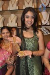 Richa Gangopadhyay at RKS Grand Shopping Mall Launch - 30 of 64