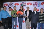Richa Gangopadhyay at Scoops Ice Cream Company Press Meet - 32 of 96