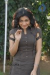 Ringa Ringa Movie Opening - 88 of 90