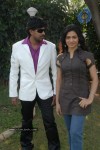 Ringa Ringa Movie Opening - 92 of 90