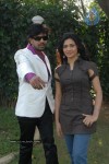 Ringa Ringa Movie Opening - 93 of 90