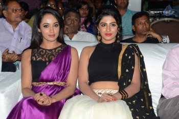 Rojulu Marayi Audio Launch 1 - 27 of 55