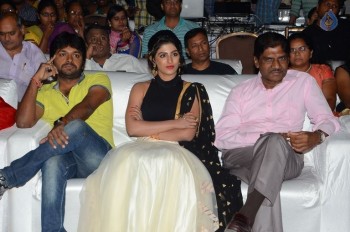 Rojulu Marayi Audio Launch 1 - 42 of 55