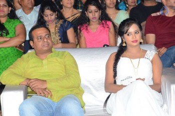 Rojulu Marayi Audio Launch 2 - 43 of 83