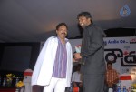 Roudram Movie Audio Launch - 109 of 112