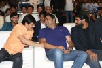 Rough Movie Audio Launch 01 - 27 of 85