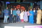 Rough Movie Audio Launch - 41 of 63