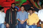 Rough Movie Audio Launch - 43 of 63