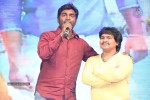 Rough Movie Audio Launch 02 - 52 of 104