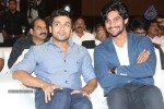 Rough Movie Audio Launch 02 - 29 of 104