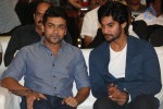 Rough Movie Audio Launch 02 - 86 of 104