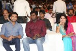 Rough Movie Audio Launch 02 - 94 of 104
