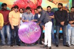 Rough Movie Audio Launch 03 - 15 of 143