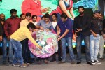 Rough Movie Audio Launch 03 - 55 of 143