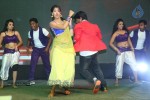 Rough Movie Audio Launch 03 - 102 of 143