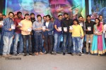 Rough Movie Audio Launch 03 - 112 of 143