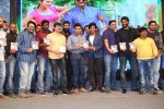 Rough Movie Audio Launch 03 - 116 of 143