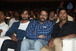 Rough Movie Audio Launch 03 - 137 of 143