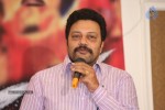 Rough Movie Audio Success Meet - 7 of 103