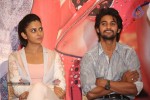 Rough Movie Audio Success Meet - 29 of 103