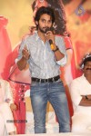 Rough Movie Audio Success Meet - 22 of 103