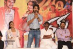 Rough Movie Audio Success Meet - 42 of 103