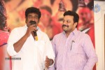 Rough Movie Audio Success Meet - 103 of 103