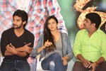 Rough Movie Success Meet - 46 of 79