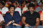 Rowdy Fellow Audio Launch 02 - 162 of 152