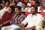 Rowdy Fellow Audio Launch 02 - 31 of 152