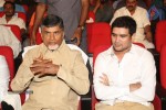 Rowdy Fellow Audio Launch 02 - 33 of 152