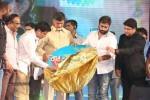 Rowdy Fellow Audio Launch 03 - 137 of 177