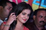 Rowdy Fellow Platinum Disc Function  - 118 of 297