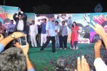 Rowdy Fellow Platinum Disc Function  - 236 of 297