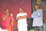Rudhramadevi Audio Launch at Warangal - 26 of 111