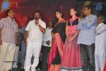 Rudhramadevi Audio Launch at Warangal - 56 of 111