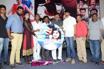 Rudra IPS Movie Audio Launch - 11 of 21