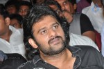 Run Raja Run Movie Audio Launch - 25 of 85
