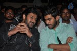 Run Raja Run Movie Audio Launch - 41 of 85