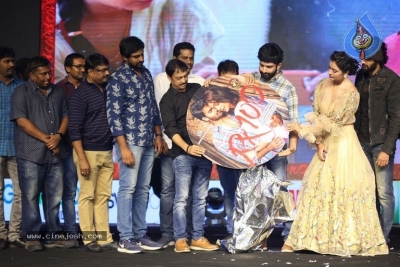 RX 100 Movie Audio Launch - 24 of 42