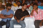 Saheba Subrahmanyam Audio Launch 2 - 7 of 43