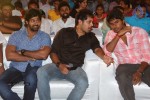 Saheba Subrahmanyam Audio Launch 2 - 38 of 43