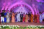 Saikumar Daughter Wedding Reception 02 - 29 of 99