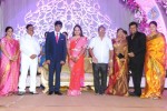 Saikumar Daughter Wedding Reception 02 - 51 of 99